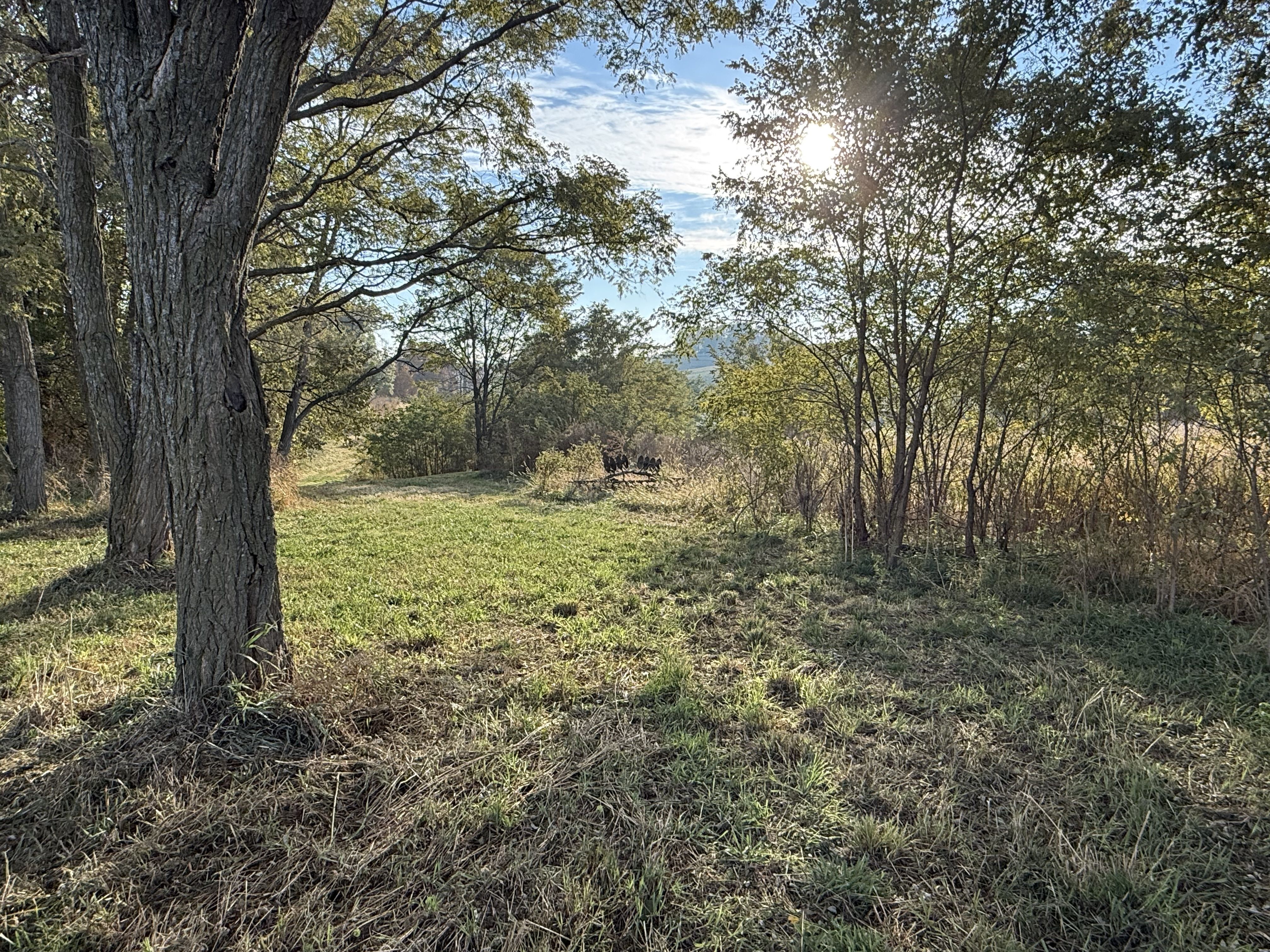 Listing Photo: Photo Oct 30 2025, 9 00 04 AM